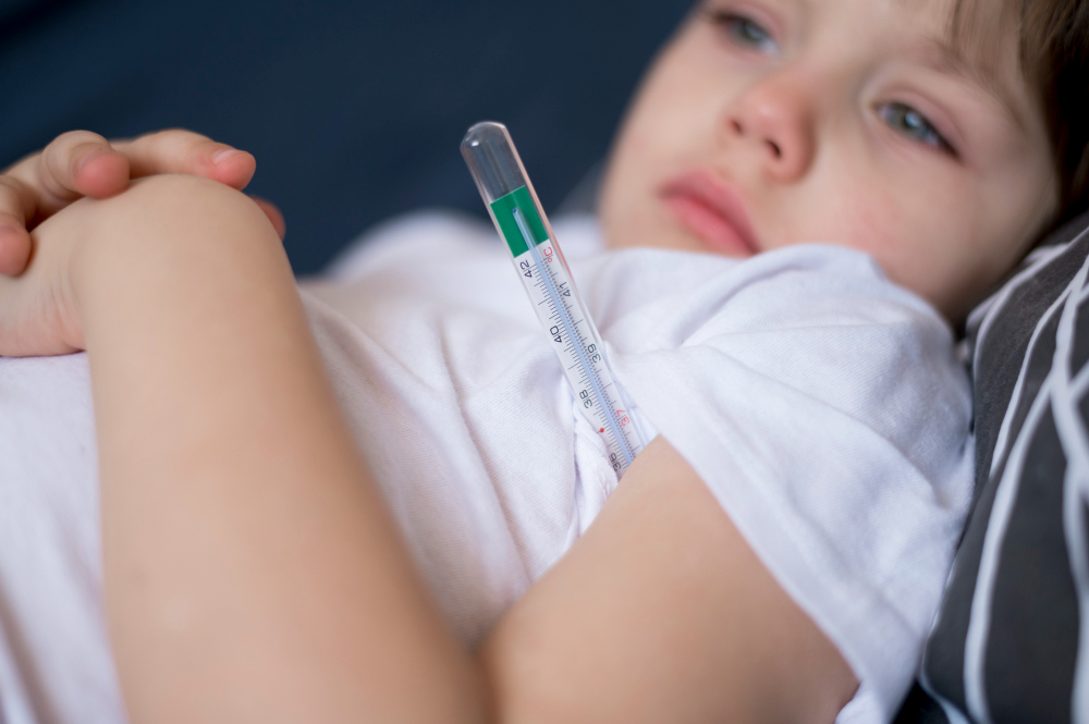 What is Typhoid Fever?